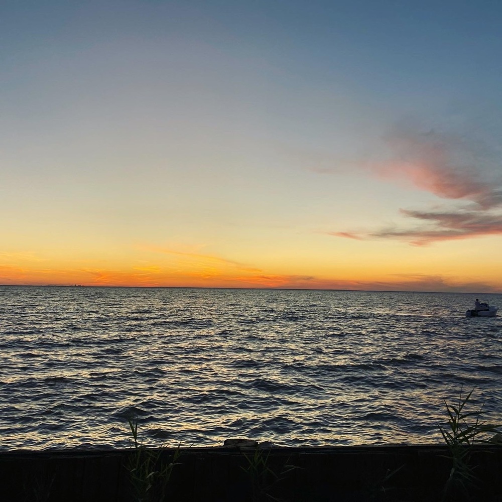 Meet your Posher, Logan